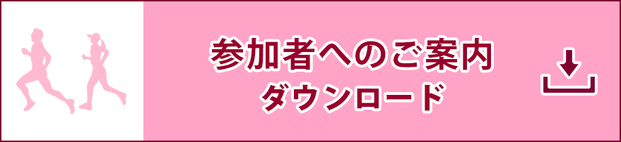参加者へのご案内(PDF)